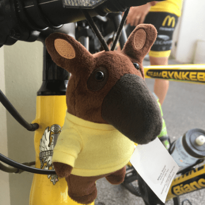 Vanha koira ja itsensä kuuntelemisen taito