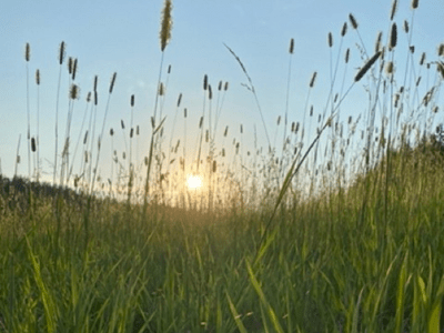 Kesäni mun 2022, part&nbsp;one